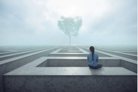 Captive Management Photo