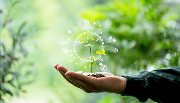 Fund Initiatives Photo